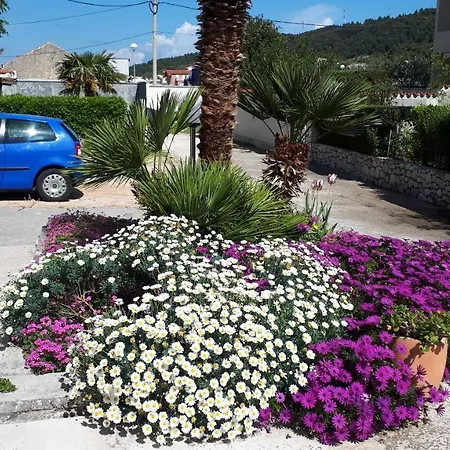 Padovan Apartment Palit