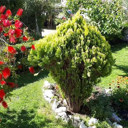Апартаменты Padovan