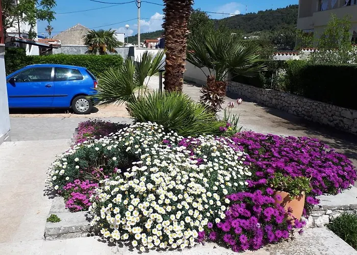 Padovan Apartament Palit